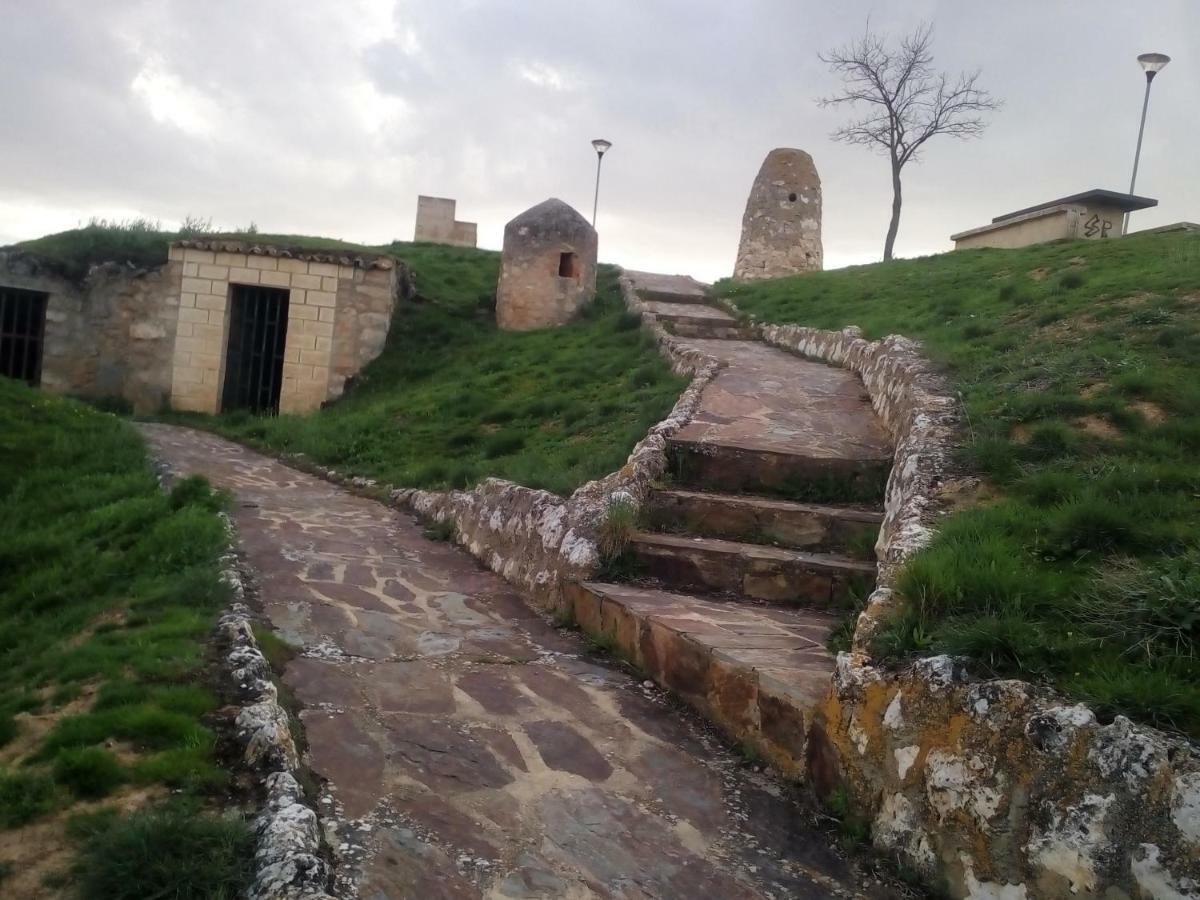 Casa Con Jardin A 5' De Aranda De Duero Villa Castrillo de la Vega Екстериор снимка